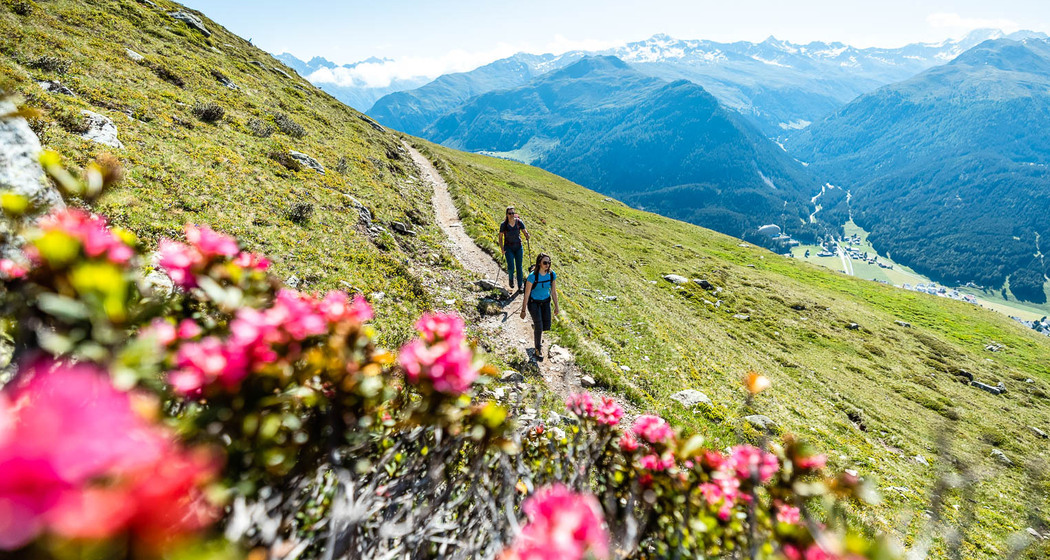 Panoramaweg (Schatzalp - Wolfgang) (oua_52643882_image)