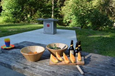 Randonnée panoramique sur la Senda Sursilvana de Bonaduz au Waldhaus Flims Alpine Grand Hotel & Spa via Trin (oua_52672621_image)