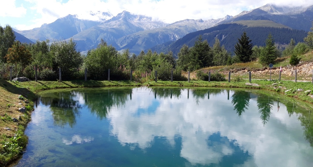Weiher neben Feuerstelle