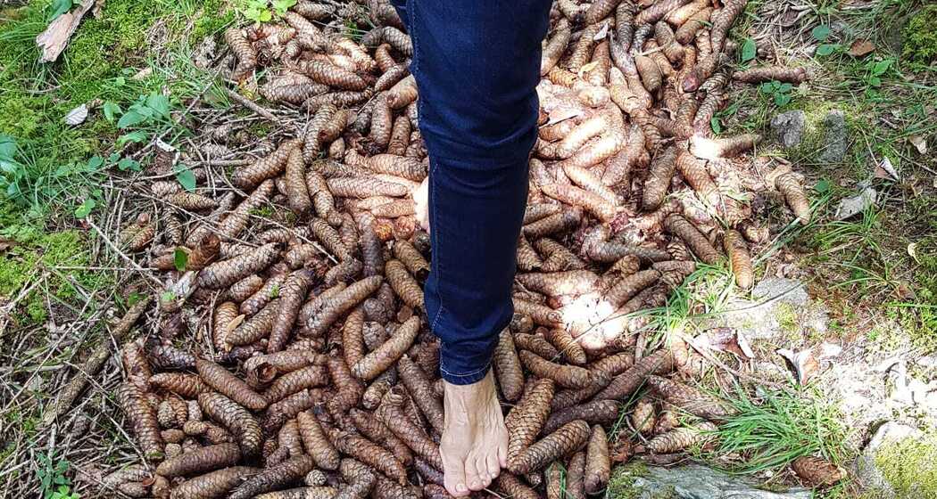 ARMONIA - Sinnesweg & Yoga