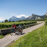 Pédalez confortablement à travers les vignes du domaine des Grisons