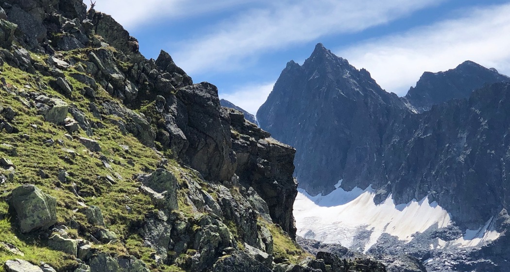 Aufstieg Tällispitz mit Steinbock