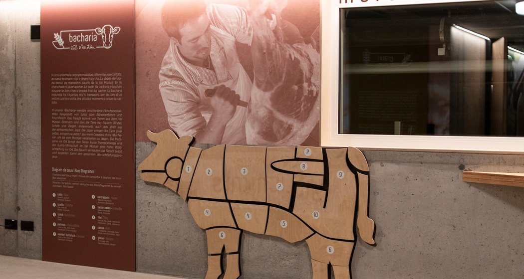 Besucherzentrum Chascharia Val Müstair (oua_52828954_image)