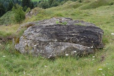 Crap dallas treis siarps