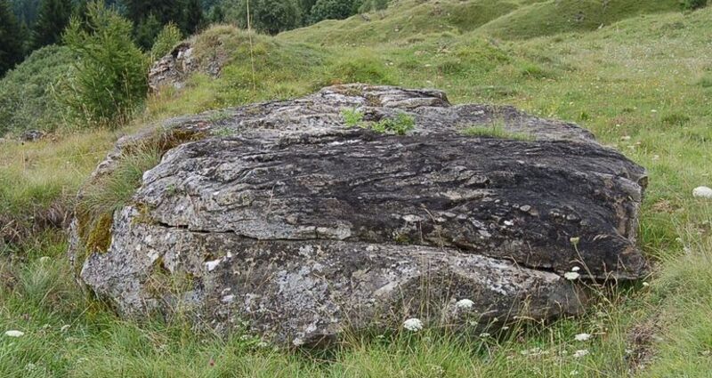 Crap dallas treis siarps