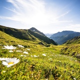 View in the direction of Alp Trider Sattel.