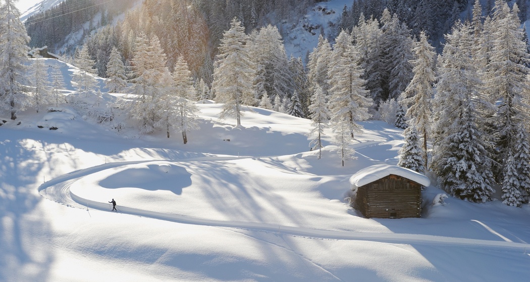 Dischma Uphill (oua_52882759_image)