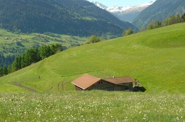 Biohof Gudigliel, Cumbel (oua_52922558_image)