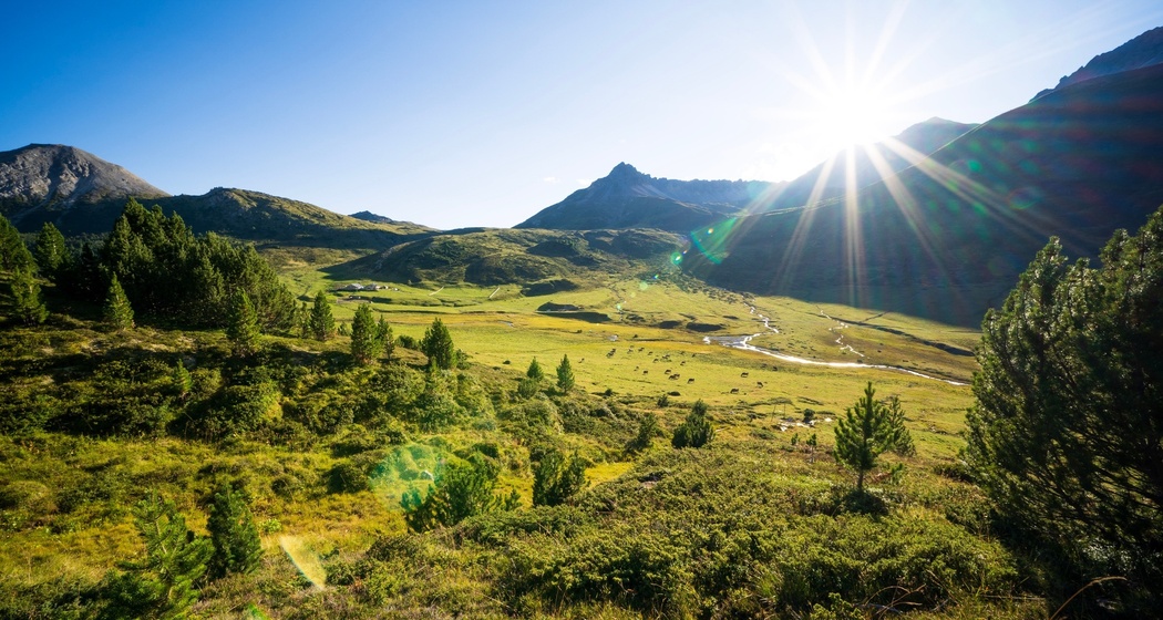 Im Arvenwald God da Tamangur kurz vor der Alp Astras.