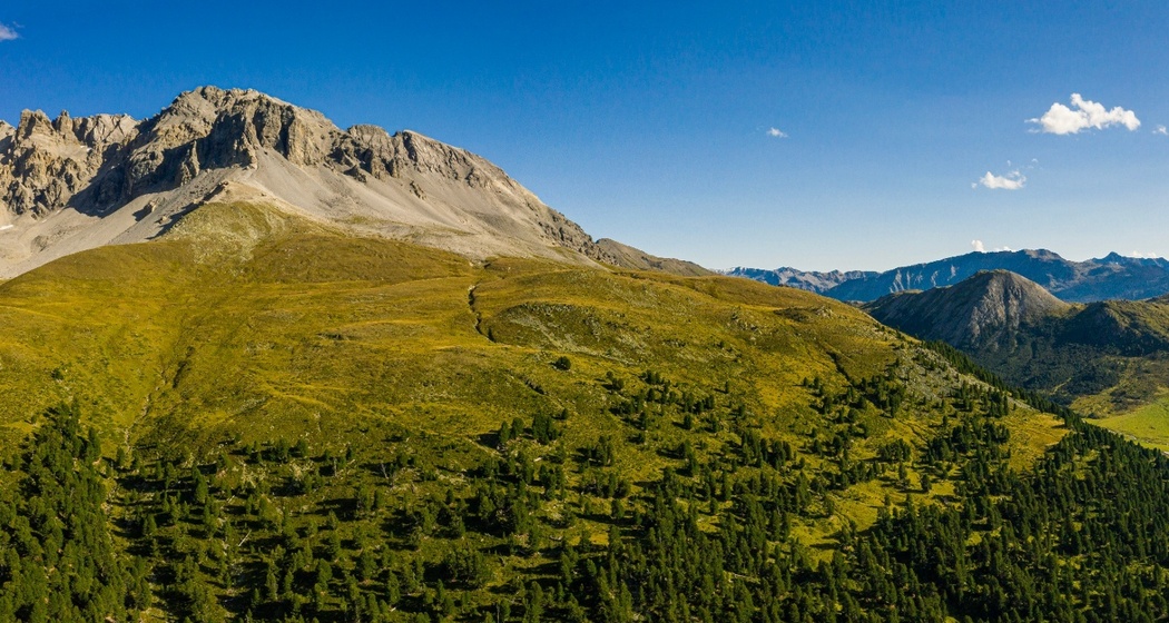 Der Arvenwald God da Tamangur im Val S-charl.