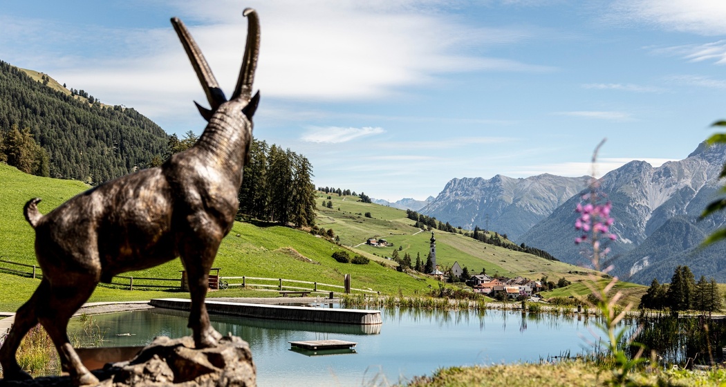 Feuerstelle am Lai da Padnal (oua_53101782_image)