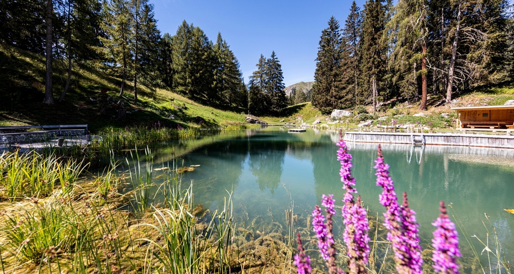 Feuerstelle am Lai da Padnal (oua_53101783_image)