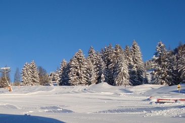 Skilift Pany (oua_53248267_image)