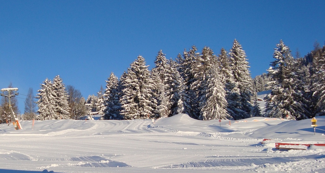 Skilift Pany (oua_53248267_image)