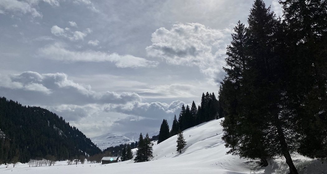 Winterwandern: Andiast - Ladral (oua_53324633_image)