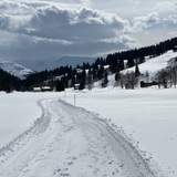 Ladral (oua_53324634_image)