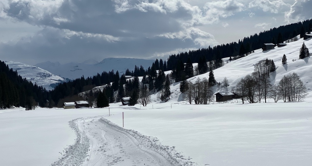 Winterwandern: Andiast - Ladral (oua_53324634_image)