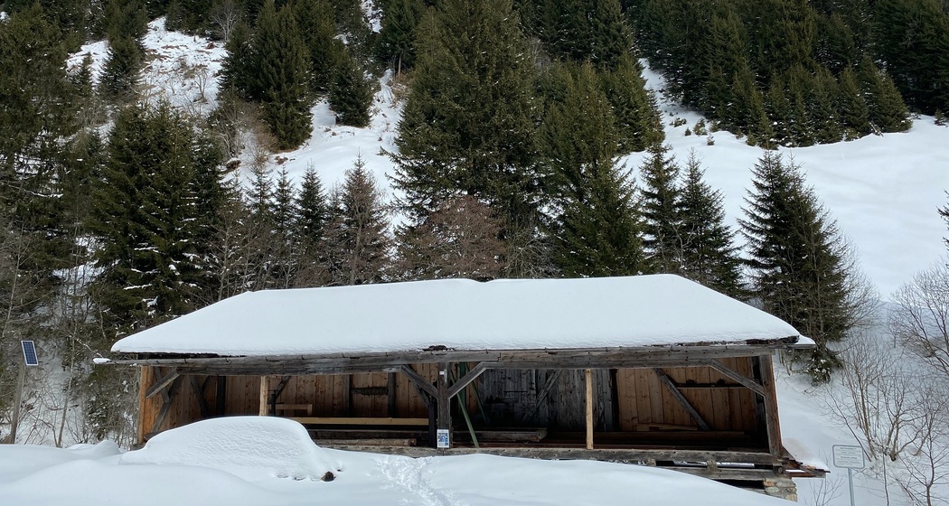 Winterwandern: Andiast - Ladral (oua_53324635_image)