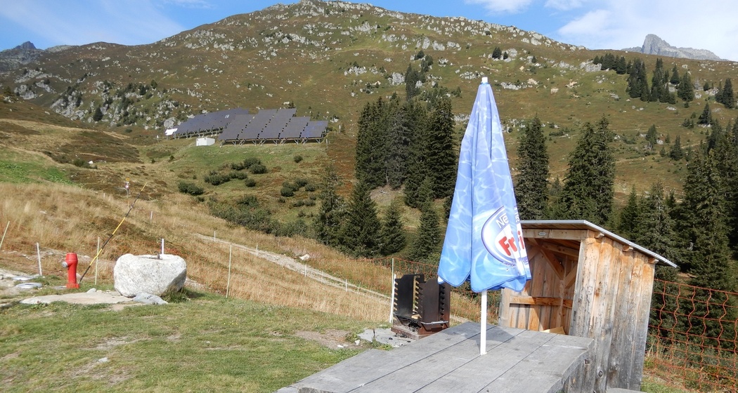 Der Sonnenschirm ist da