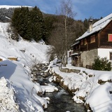 Escursione con le ciaspole a Rumasal (oua_53328107_image)