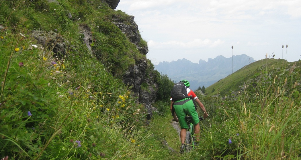 Aussicht auf die Churfirsten
