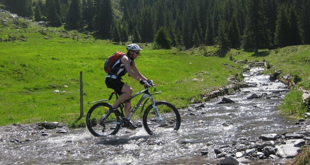 Bachübergang auf der Alp ober Precht