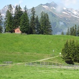 View from Alp ober Precht