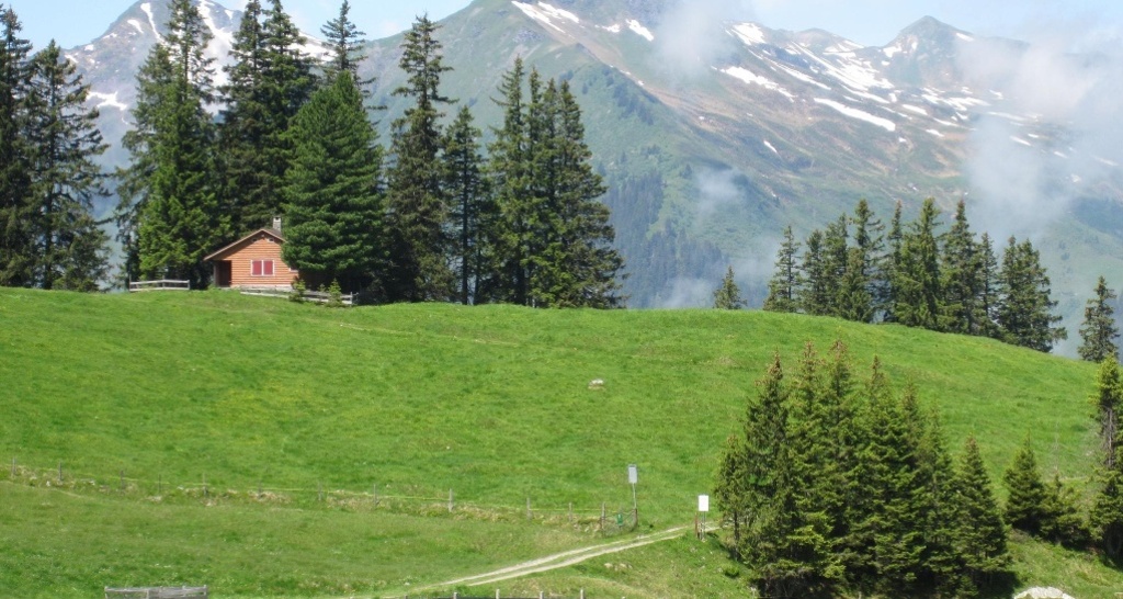Blick von der Alp ober Precht