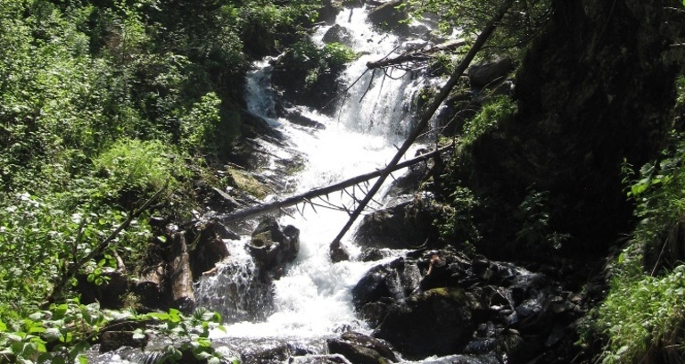 Bach entlang der Strecke