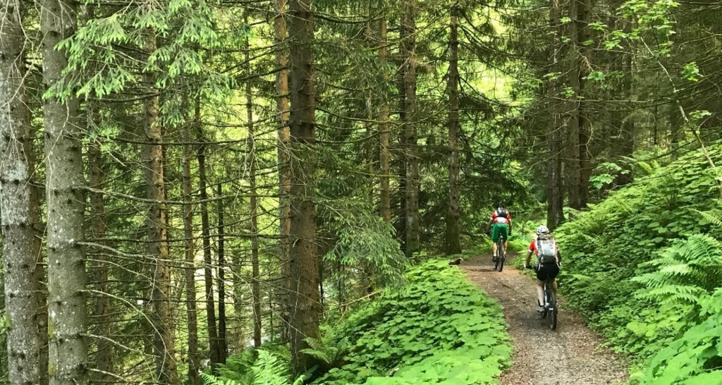 Wegabschnitt ins Valeis