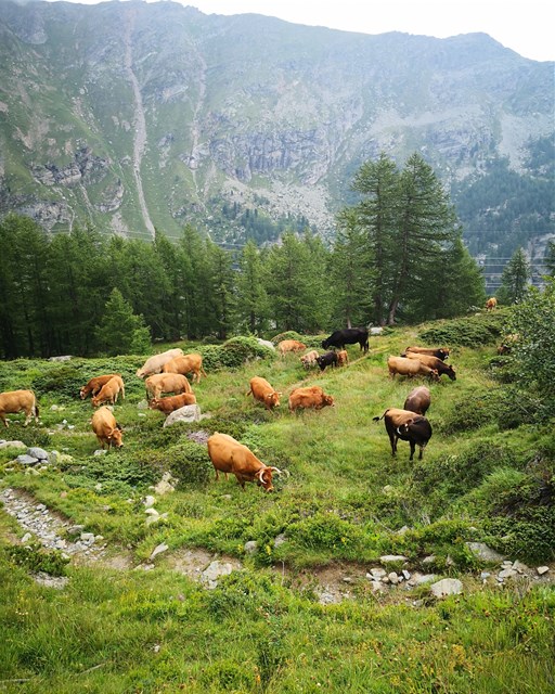 Val da Pila