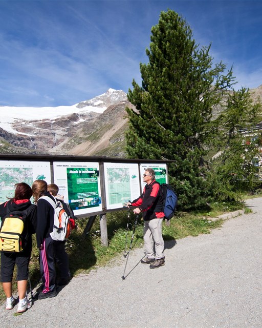 Alp Grüm