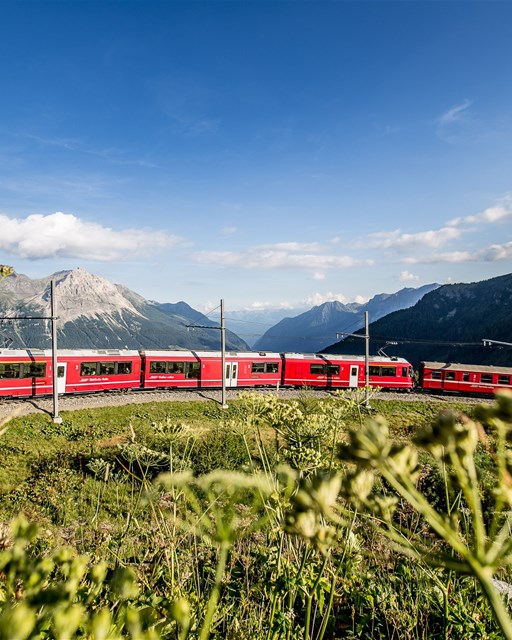 Alp Grüm