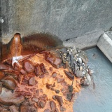 Überlauf der Ulrichsquelle in den Bach Brancla