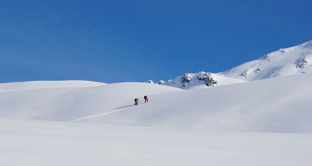 Gorihorn (oua_53850543_image)