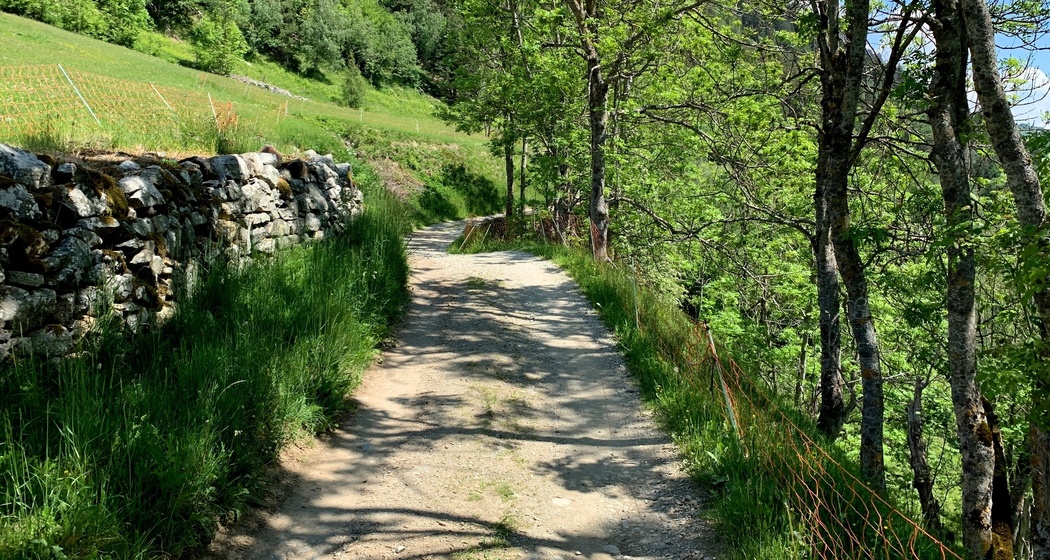 Von Disla nach Madernal