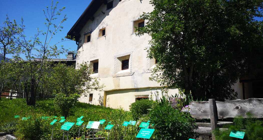 Heilkräutergarten vor dem Museum - Iert d’ ervas medicinalas (oua_54145505_image)