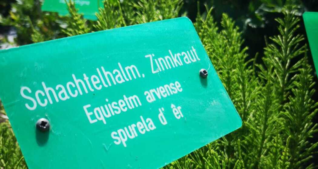 Heilkräutergarten vor dem Museum - Iert d’ ervas medicinalas (oua_54145507_image)