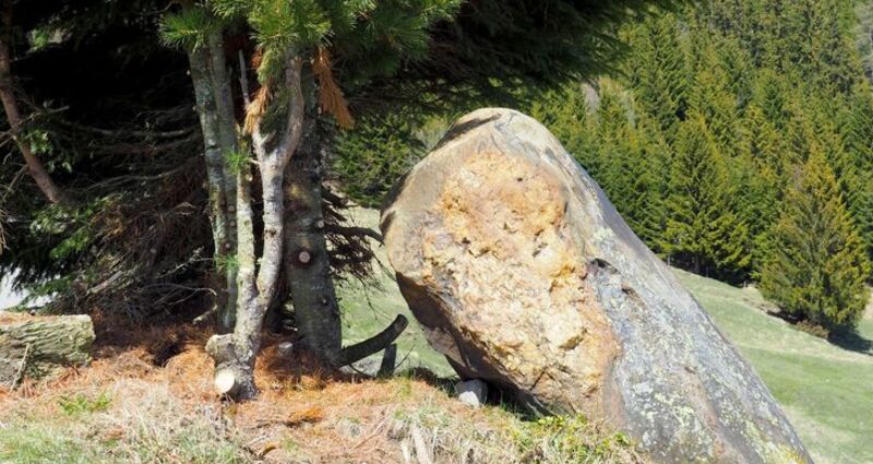 Findling in Giatreis