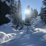 Äla - Cavai (oua_54466123_image)