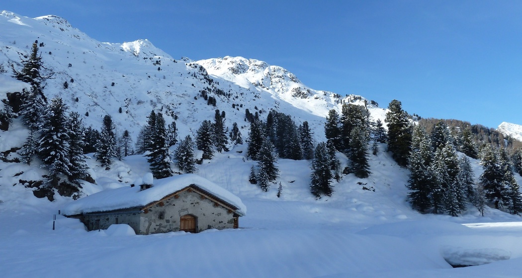 Schneeschuhtour Maloja - Cavloc - Plan Canin (oua_54466269_image)