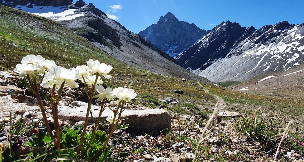 Radons - Tga / Val Faller (oua_54537848_image)