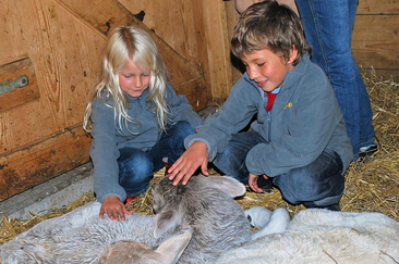 Kinder mit Kälbchen