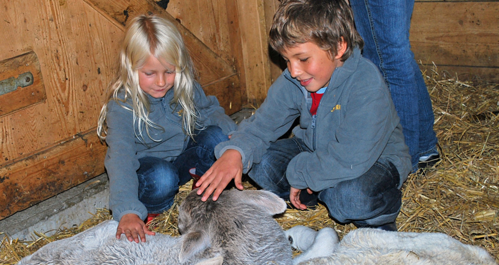 Kinder mit Kälbchen