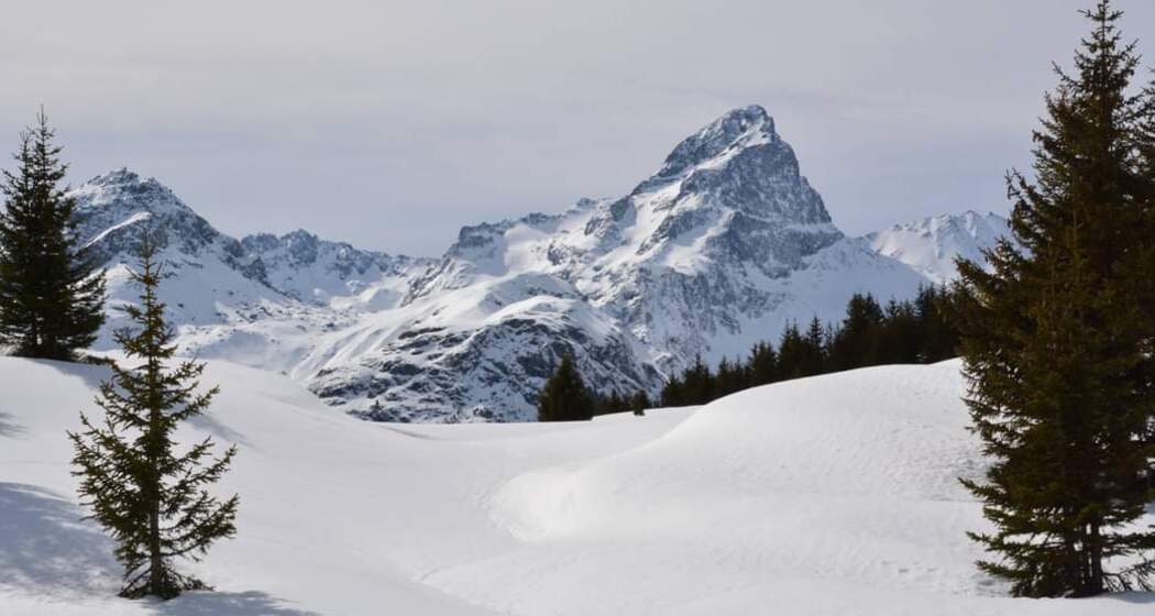 573 Alp Flix - Schneeschuhtrail (oua_54549743_image)