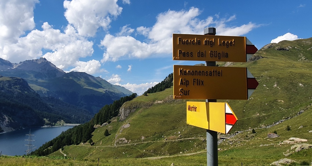 Bivio - Marmorera - Alp Natons (Kinderwagengerecht) (oua_54561328_image)