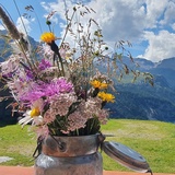 Bivio - Marmorera - Alp Natons (stroller-friendly) (oua_54561422_image)