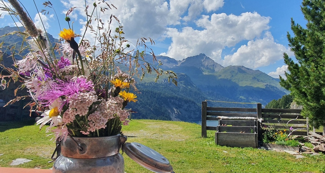 Bivio - Marmorera - Alp Natons (Kinderwagengerecht) (oua_54561422_image)