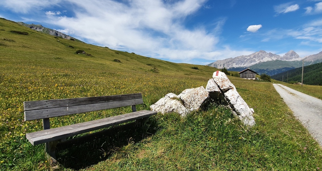 Radons - Fuorcla Starlera - Radons (oua_54562046_image)