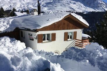 Winter_19